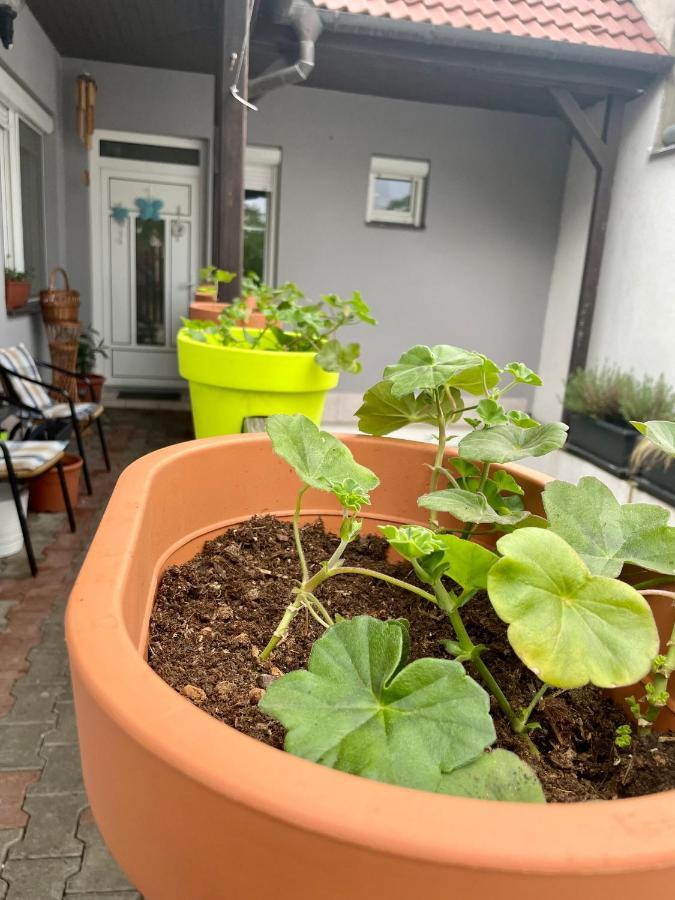 Ubytování U Mikeša Břeclav Exterior foto